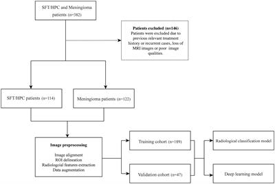 Deep Learning Model for Intracranial Hemangiopericytoma and Meningioma Classification